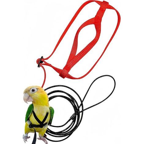Parrot Harness, Adjustable Nylon Leash, Elastic Strap for Cockatoos, Training and Walking Accessory (1/5)