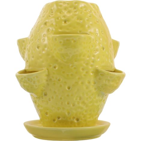Pot Céramique Décoratif Multi-Ouvert pour Succulentes et Orchidées Pot de Fleur Extérieur avec Soucoupe Design Citron Élégant Jardinière Polyvalente Résistante Décoloration (1/5)