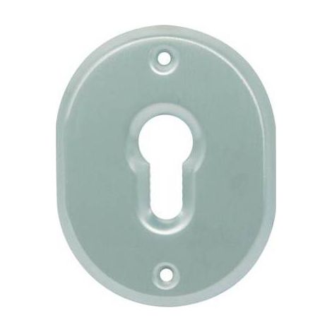 5,0 x MOSTRINA PORTA BLINDATA 316L CIPIERRE