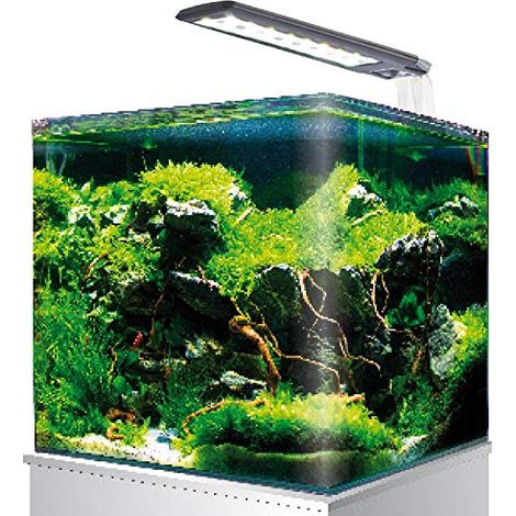 AMTRA NANOTANK SYSTEM 20 - Acquario in vetro completo di luce LED e filtro / cm 25x25x30 / 18 Litri (1/4)