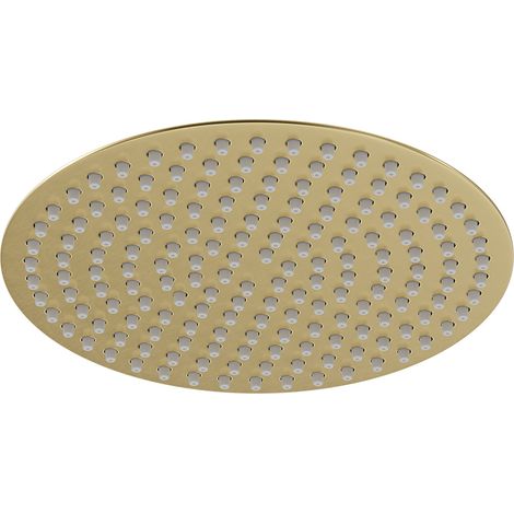 Colore Round Brushed Brass 300mm Thin Fixed Shower Head (1/5)