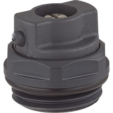 Purgeur d'air orientable pour radiateur NOYON & THIEBAULT M1/2 Anthracite (1/5)