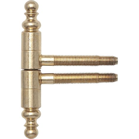SFS Einbohrband 2-tlg. mit Zierkopf, ø 16 mm, Bandhöhe 108,5mm,Stahl vermessingt (1/2)