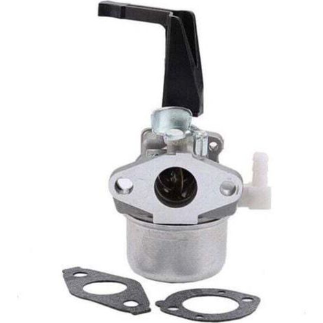 [NIEMALS VERWENDET] Vergaser 696065 kompatibel mit Briggs & Stratton 696065 697422 110402-0206-E1