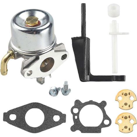 Carburateur compatible avec Briggs & Stratton Intek 206 126412-0212-E1 121312-0144-E1 214731