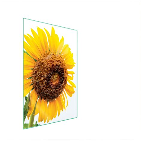 Glasschneidebrett 35x52 Blume