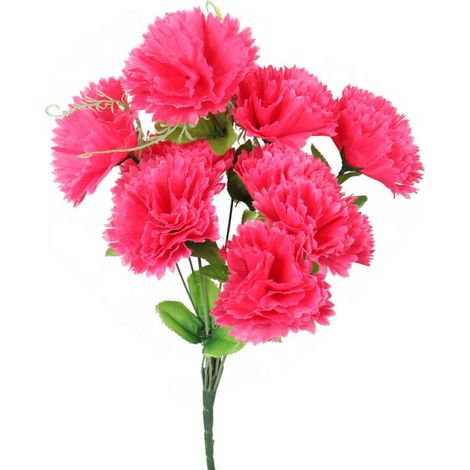 Bouquet de 9 œillets avec vrilles, roses (1/3)