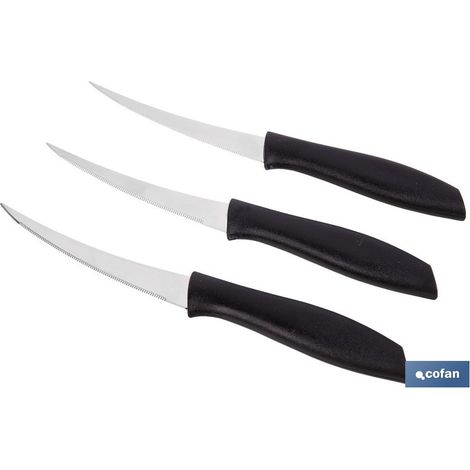 Ensemble de 3 couteaux pour fruits et légumes 21 cm (1/4)