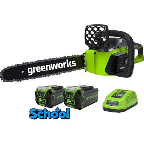 Tronçonneuse, Moteur Sans Balais, Huileur Automatique, 16 pouces, deux batteries (1/5)