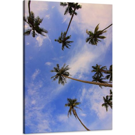 Stampa su tela Natura Palme da cocco 60x90 cm