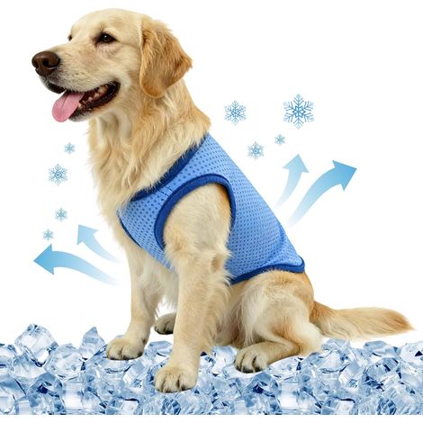 Veste de Refroidissement pour Chien Respirante été, Gilet Rafraichissant Chien, Style sans Manches Frais et Confortable, Manteau Rafraichissant pour Chien, Accessoires Généraux (L)