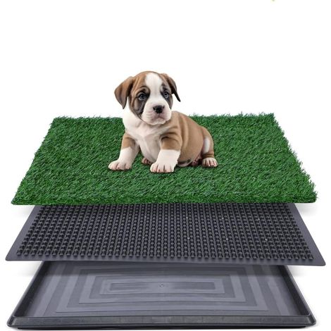 Toilettes pour Chien avec Gazon Synthétique Et Bac 50 × 40 cm Réutilisables, Idéales Pour Chiots, Appartement Et Balcon, Utilisation En Intérieur Ou Extérieur (1/5)