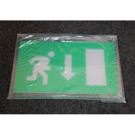 Ecran polycarbonate simple face symbole flèche bas largeur 260mm pour bloc de sécurité BAES à tranche à LED SCHNEIDER