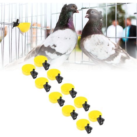 Bebedero automático para aves de corral - Gran capacidad - Material PP - 10 unidades - Para pollos, codornices y palomas (1/5)