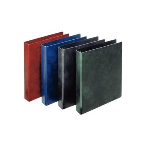 Esselte 390553050 raccoglitore ad anelli A4 Blu (1/2)
