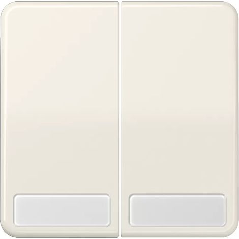 Jung Wippe Schriftfeld ws für Schalter/Taster CD 595 NA (1/2)