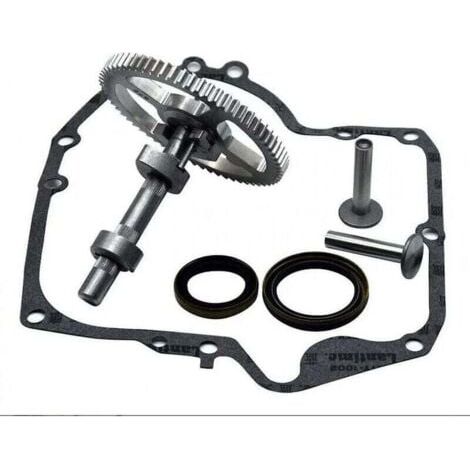 Briggs & Stratton Nockenwelle 793880 793583 792681 791942 795102 Nockenwellen-Austauschsatz mit Öldichtung 795387 und Ruikalucky Kurbelgehäusedichtungen 697110 LKBD (1/4)