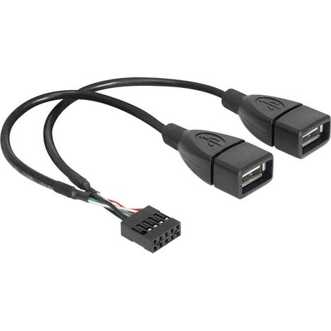 Delock Câble USB USB 2.0 En-tête de broche 8 pôles, USB-A femelle 0.20 m noir certifié UL 83292 (1/3)