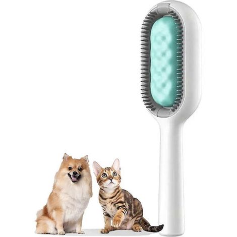 Peigne multifonctionnel pour l'épilation des poils d'animaux (1/5)