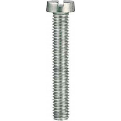 INOXTEC - 2PZ VITI PER METALLO A TESTA PIANA CILINDRATA IN INOX 6,0X70MM