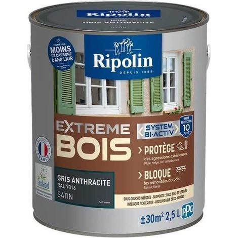 Ripolin Protection Extrême Vernice Grigio Antracite 2,5 L (1/3)