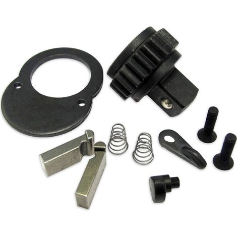 Kit di riparazione per chiave dinamometrica 11530