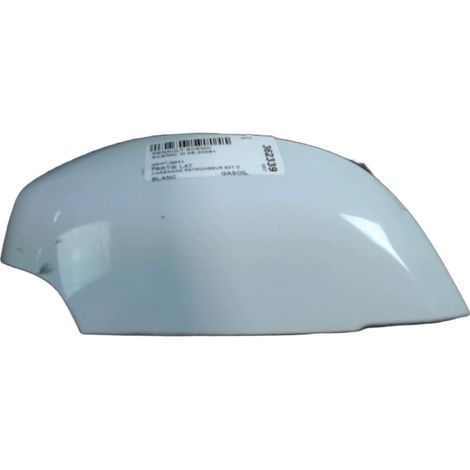 [PRODUIT D'OCCASION] Carenage Retroviseur Exterieur Droit RENAULT Scenic III 2009- ♻️ Ref Oe. 963748223r - Garantie à vie (1/3)