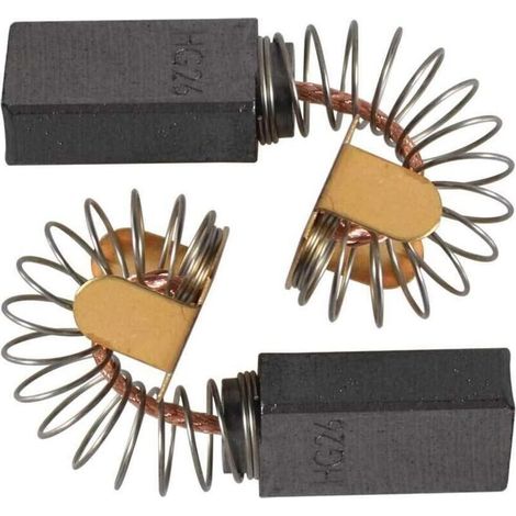 Ersatz-Kohlebürstensatz (2 Stück) für Bosch 1619X08020, 1619X07410, 1619X01351, 2610320391 und Skil HD77 - S77 Kreissägen