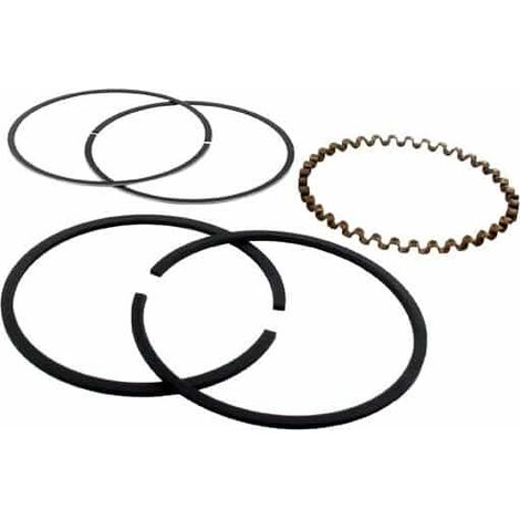 Segmenti BRIGGS et STRATTON 391781 - 394960