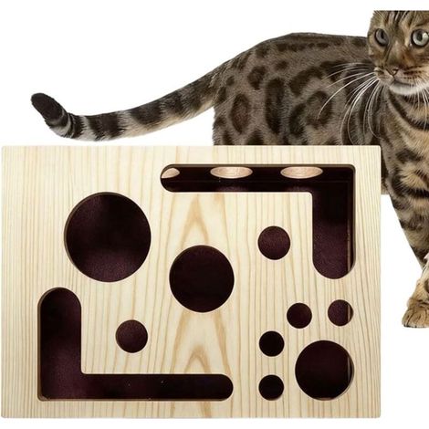 Jouet de soin des ongles pour chat - Distributeur interactif (1/5)