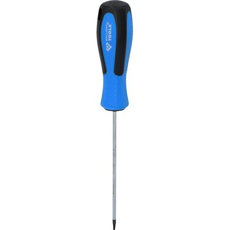 BRILLIANT TOOLS Tournevis TORX T8 x 100 mm - BT031039 (1/5)