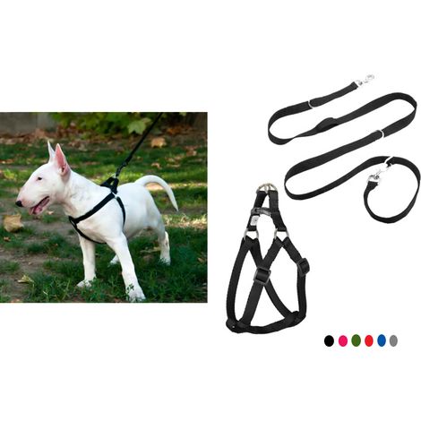 Pettorina guinzaglio cani gatti grande taglia scapolare antisoffocamento 50/70cm (1/3)