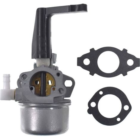 696065 Carburateur de remplacement avec kit de joint pour Briggs & Stratton (1/5)