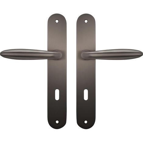1 Paire - Poignée Sur Plaque - Zamak - Couleur Titane Avec Ressort De Rappel Pour Porte Intérieure 37-45mm Symétrique 225x38cm (1/3)