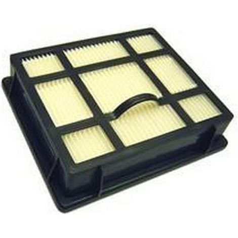 Filtre Hepa (143674-52824) (1924992207) Aspirateur AEG, ELECTROLUX, TORNADO