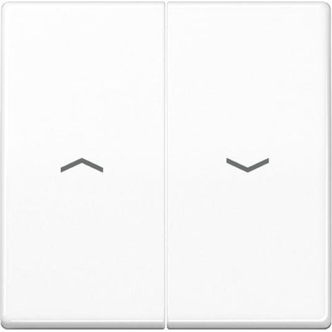 Jung Wippe Symbole aws für Jal.Schalter AS 591-5 P BF WW (1/2)