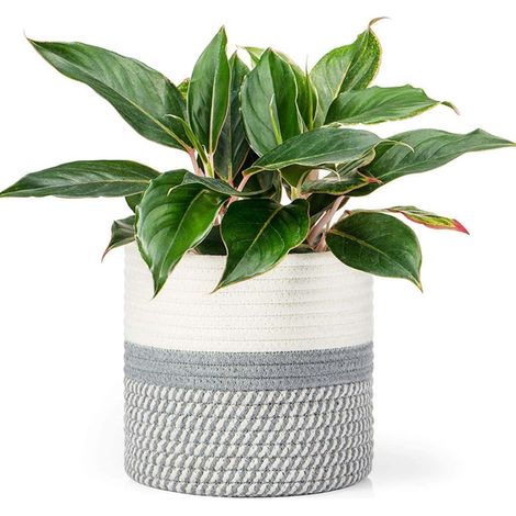 Pot de Fleurs Tressé - 1 Pièce - Corde de Coton - Cache-Pot Décoratif Pliable - Salon et Chambre - Diamètre 30 cm (1/5)