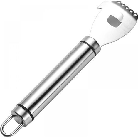 Rasp Citron - Acier Inoxydable 430 - Design Compact Et Ergonomique - Pour Zeste D'agrumes Fin Et Precis - 1 Piece (1/5)