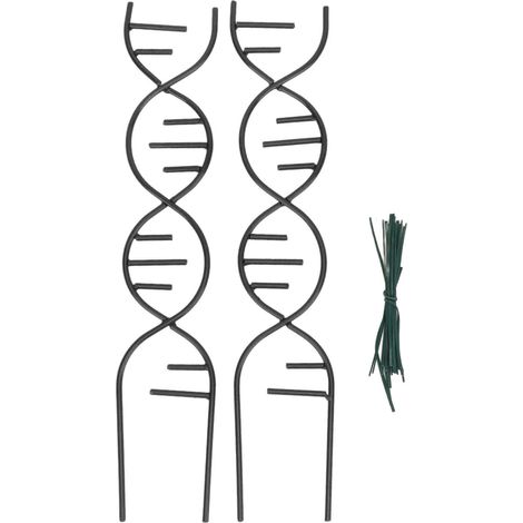 Treillis pour plantes, 2 pièces, Support d'escalade en métal de forme irrégulière Unique pour plantes en pot noir (1/5)