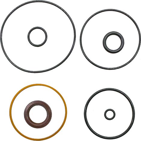 Joint 5008985 Kit de joints Evinrude ETEC 75-115 ch 2004-2012 FSM016