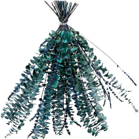 Tiges de feuilles d'eucalyptus séchées, véritable eucalyptus naturel, décoration pour salle de bain
