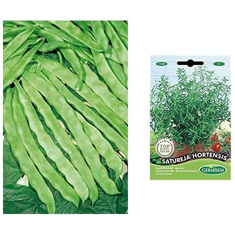 Graines de Haricot à Rames+graines Sariette annuelle