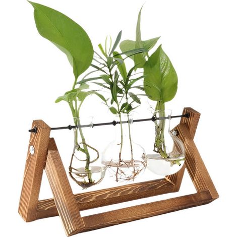 Vase hydroponique avec socle en bois, décoration de table, verre, marron (1/5)