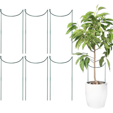 Tuteur pour - 6 Anneaux de Soutien pour d'Intérieur pour Fleurs - Treillis (1/5)