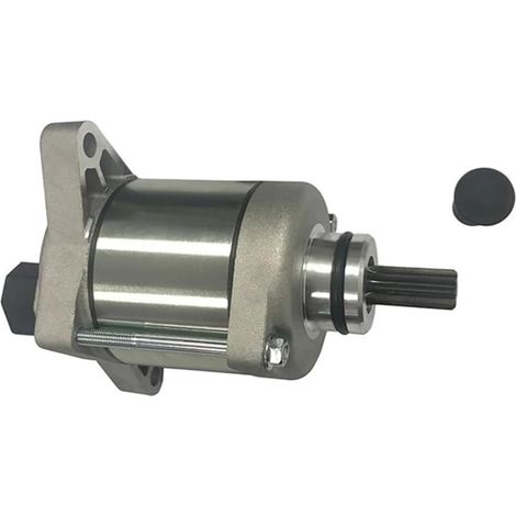 Applicable Spare Parts Compatible avec Le démarreur de Moteur 026070118000 Bike 250RR 250 Xtrainer 300 300RX 2013-2024, Accessoires