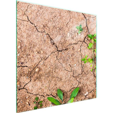PLACA PROTECTORA DE VIDRIO PARA ESTUFA 50x52 PLANTAS (1/5)