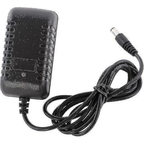 Offre exceptionnelle à petit prix Chargeur pour voitures électriques pour enfants - Chargeur de batterie au plomb (1/4)