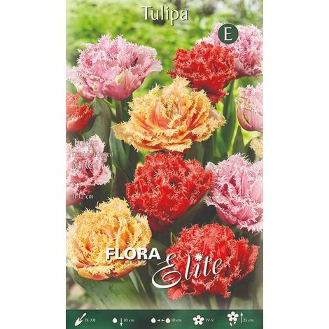 Mix Bulbi Tulipano Doppi Frangiati 5 Bulbi