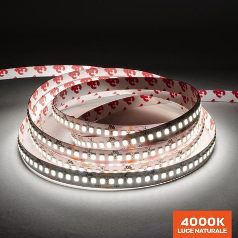 Striscia Led Serie H.E. 96W 12.500lm 24V IP65 PCB 10.5mm Bobina da 1050 SMD 2835 - Naturale 4000K (1/4)
