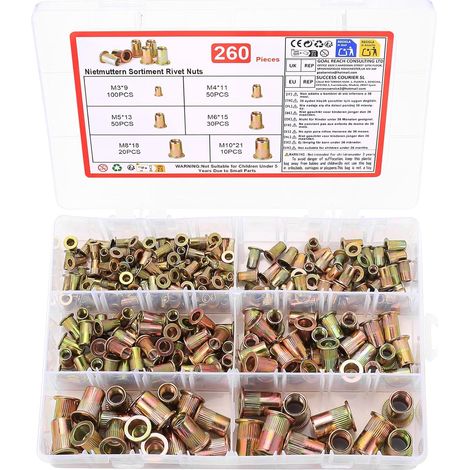 260 Pcs Insert Fileté Metal,M3 M4 M5 M6 M8 M10 Ecrou a Sertirécrous Filetés (1/5)